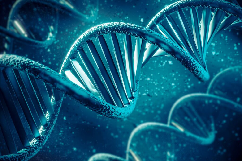 Genes