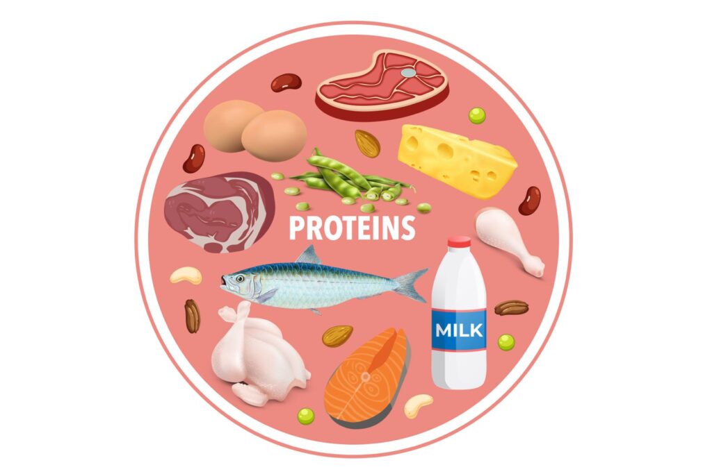 las proteínas Lida Green and Lipovon